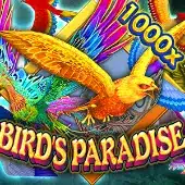 BIRDS PARADISE